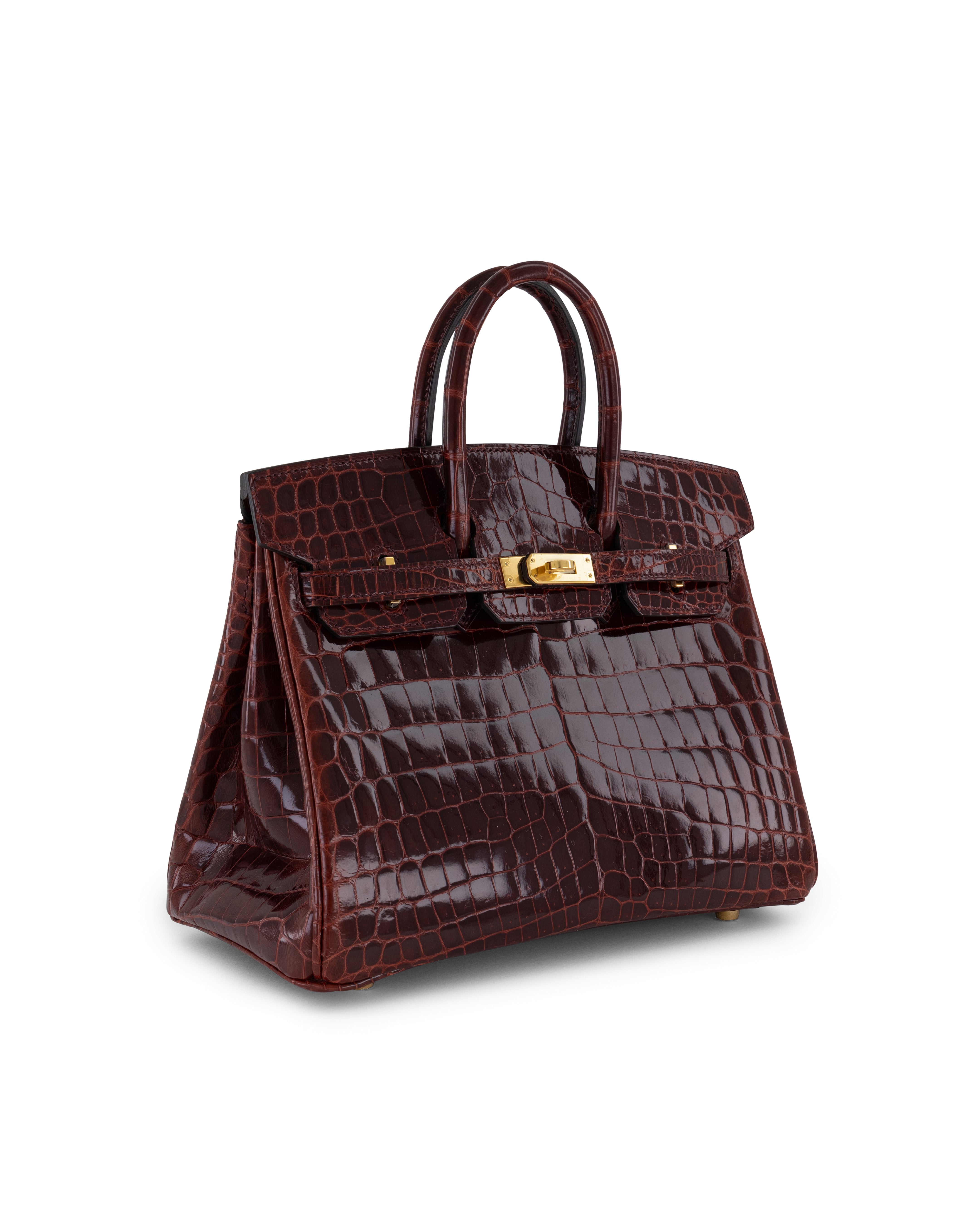 Birkin 25 Bordeaux shiny niloticus ghw