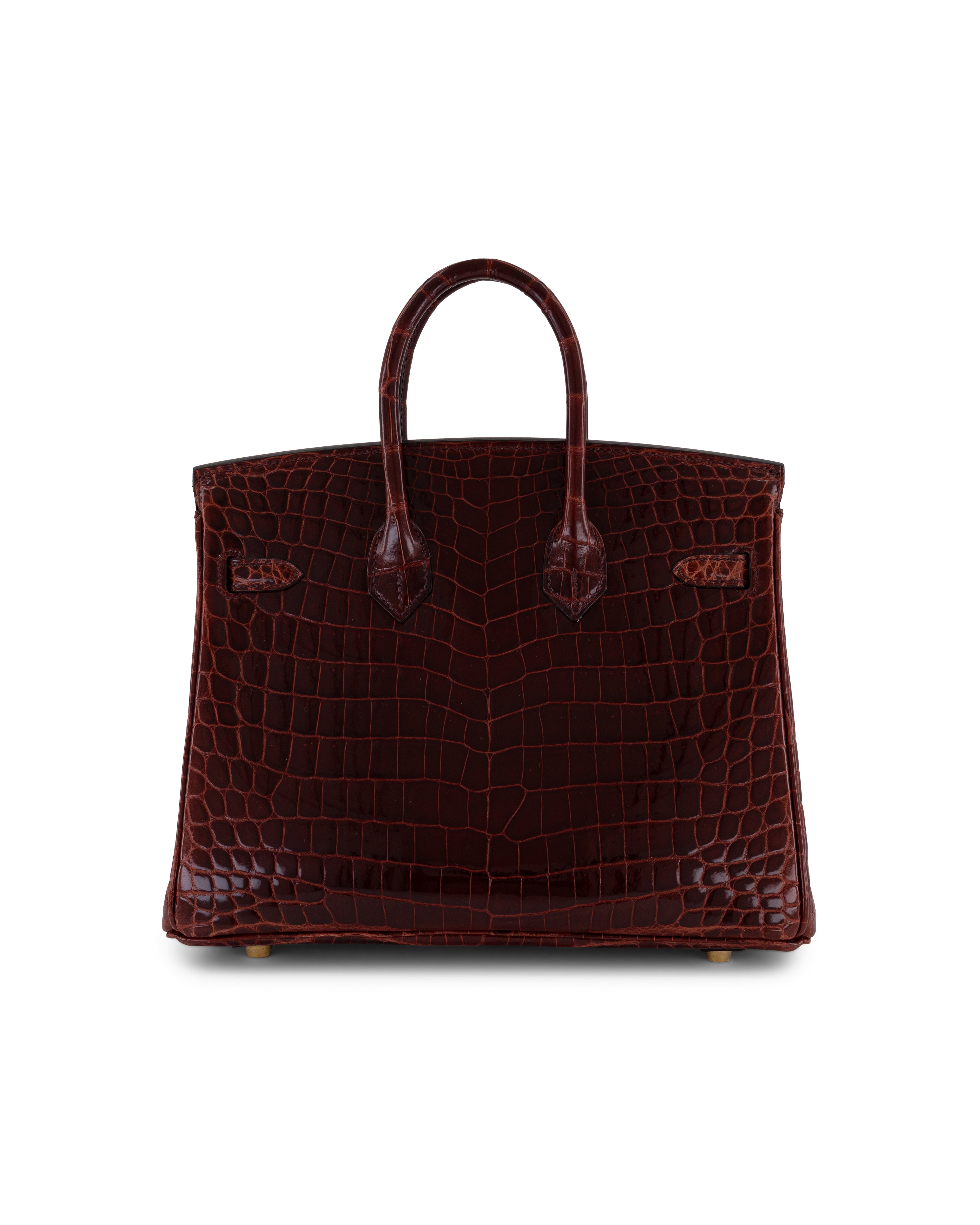 Birkin 25 Bordeaux shiny niloticus ghw