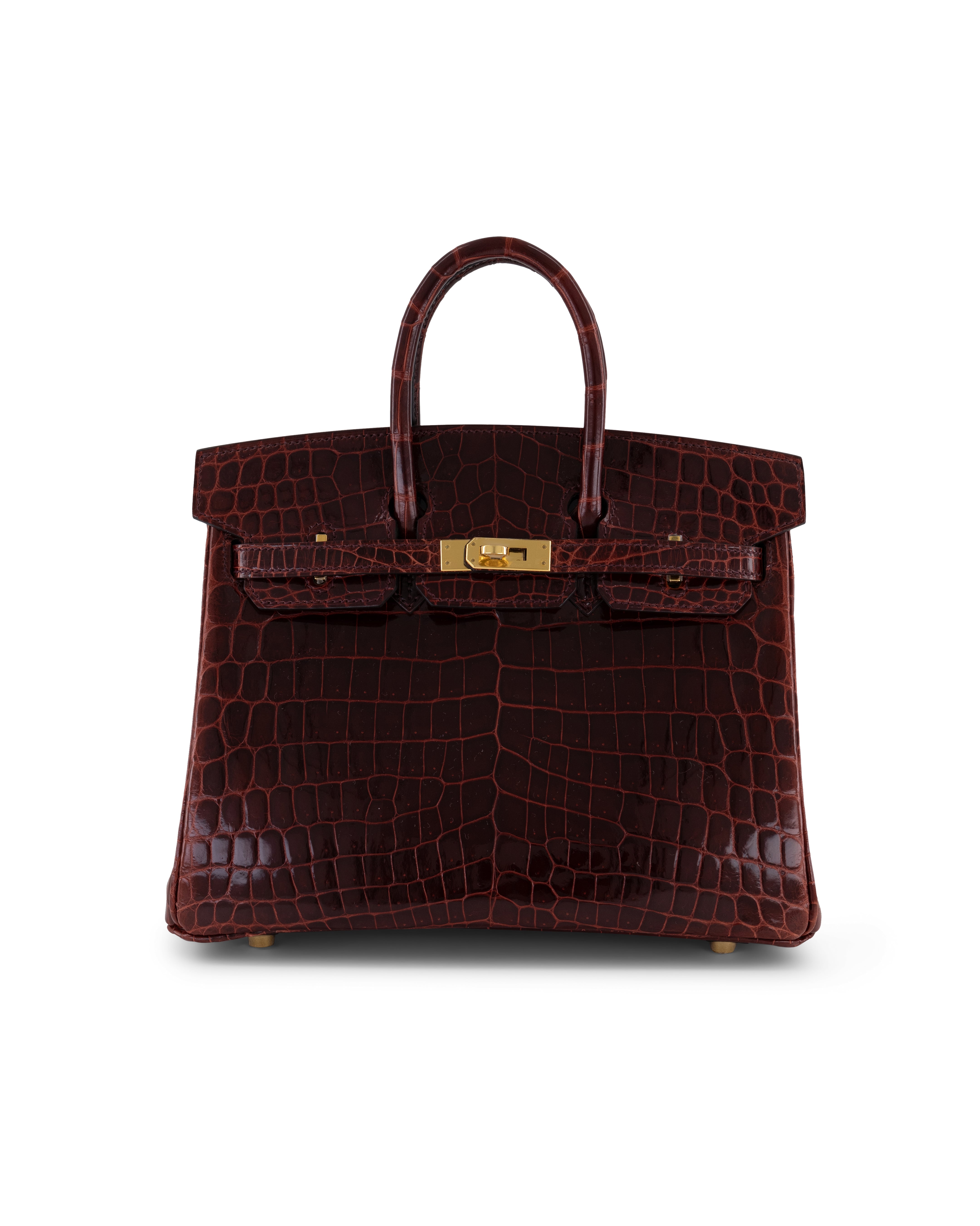 Birkin 25 Bordeaux shiny niloticus ghw